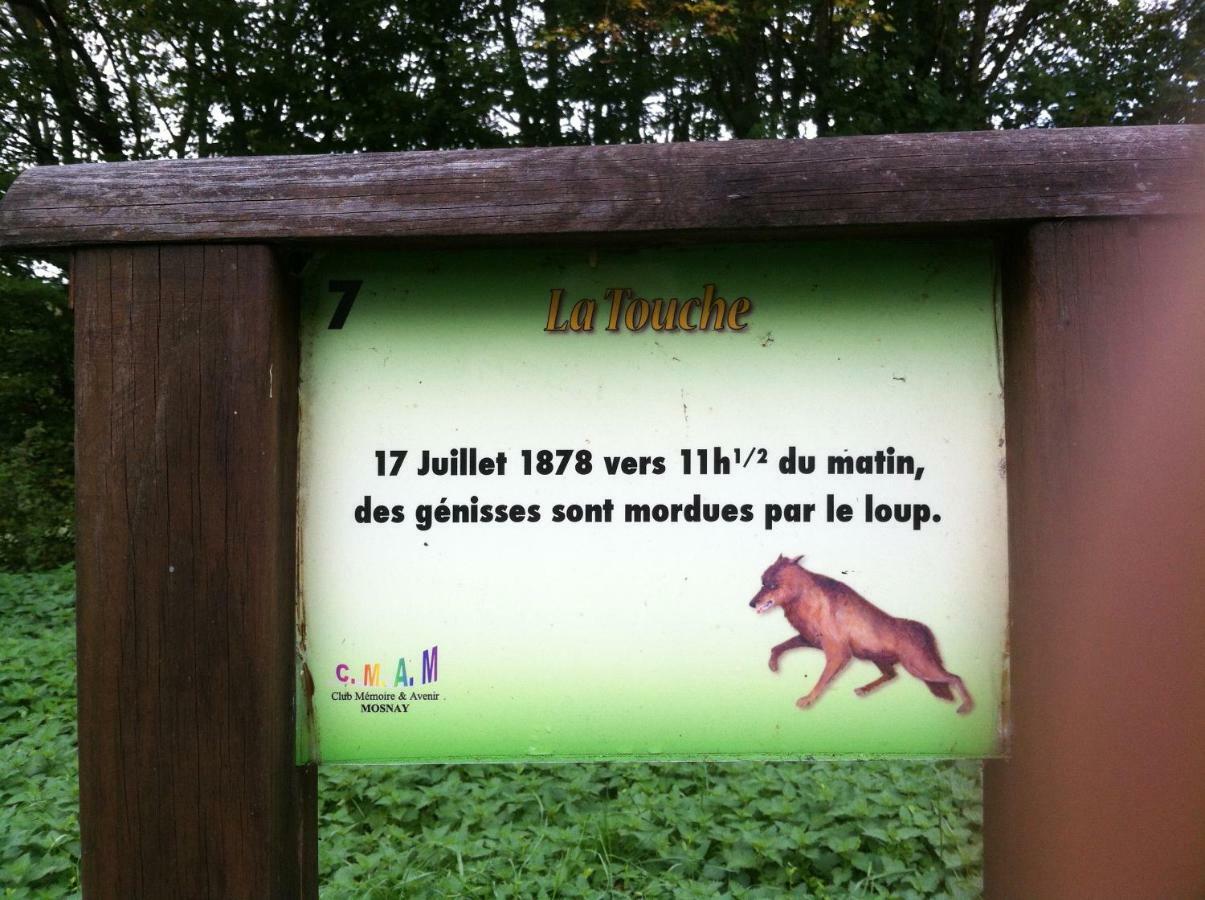 Domaine De La Touche Mosnay Bed and Breakfast Exteriör bild